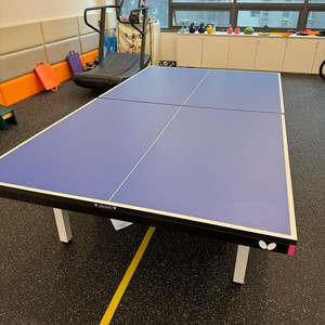 탁구대 버터플라이 센터폴드25