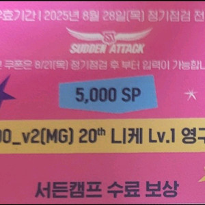 서든어택 서든캠프수료쿠폰