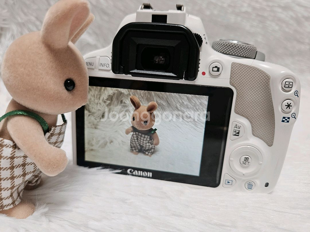 [A급] 캐논 EOS 100D DSLR 카메라, 디카--5