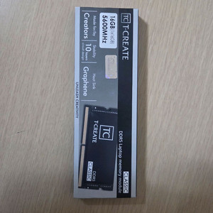 서린 TeamGroup 노트북 DDR5 16gb