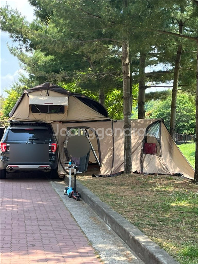 힐랜더 루프탑 1900+뱅퀴시+툴레가로바--0