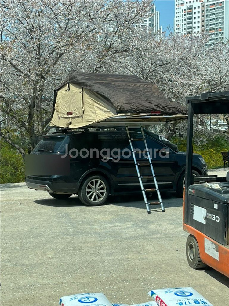 힐랜더 루프탑 1900+뱅퀴시+툴레가로바--1