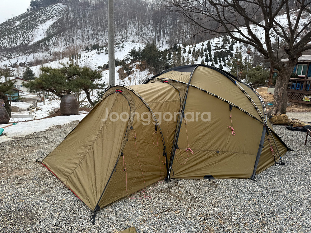 힐레베르그 아틀라스 샌드+베티 2025년산 2회피칭--4
