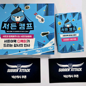 서든 니케 영구제 포함 총 4개 쿠폰 일괄 판매