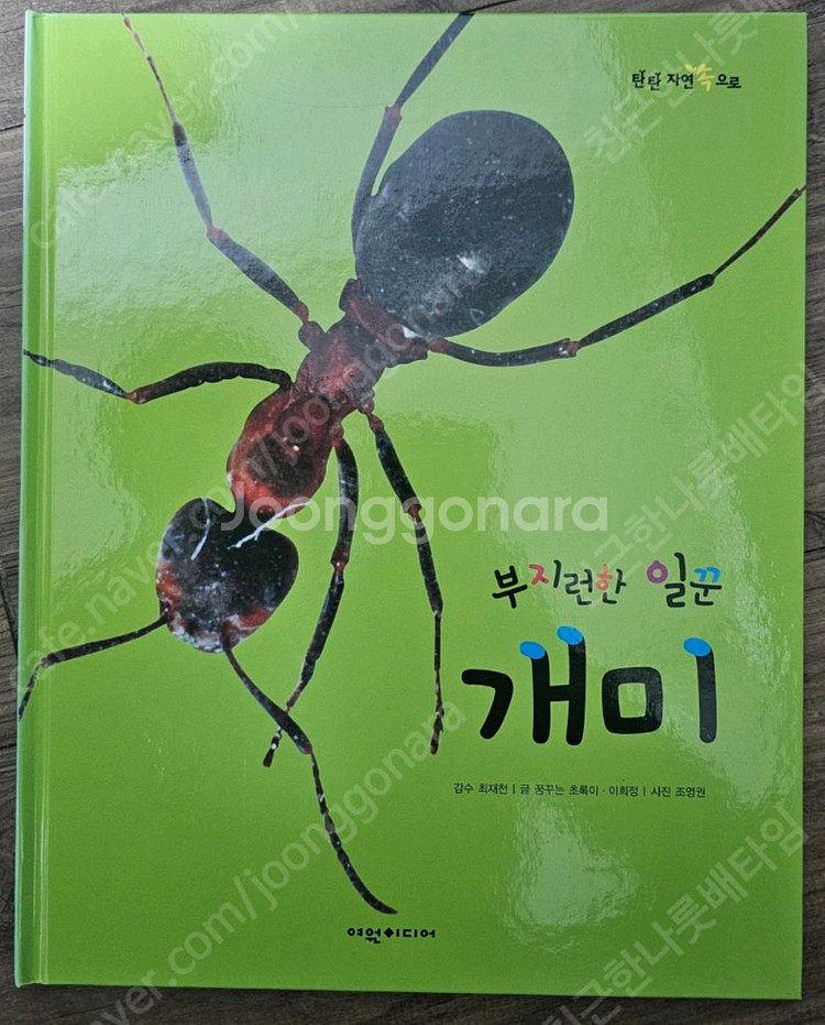여원미디어 탄탄 자연속으로 A급 퀄리티 (100권)--1