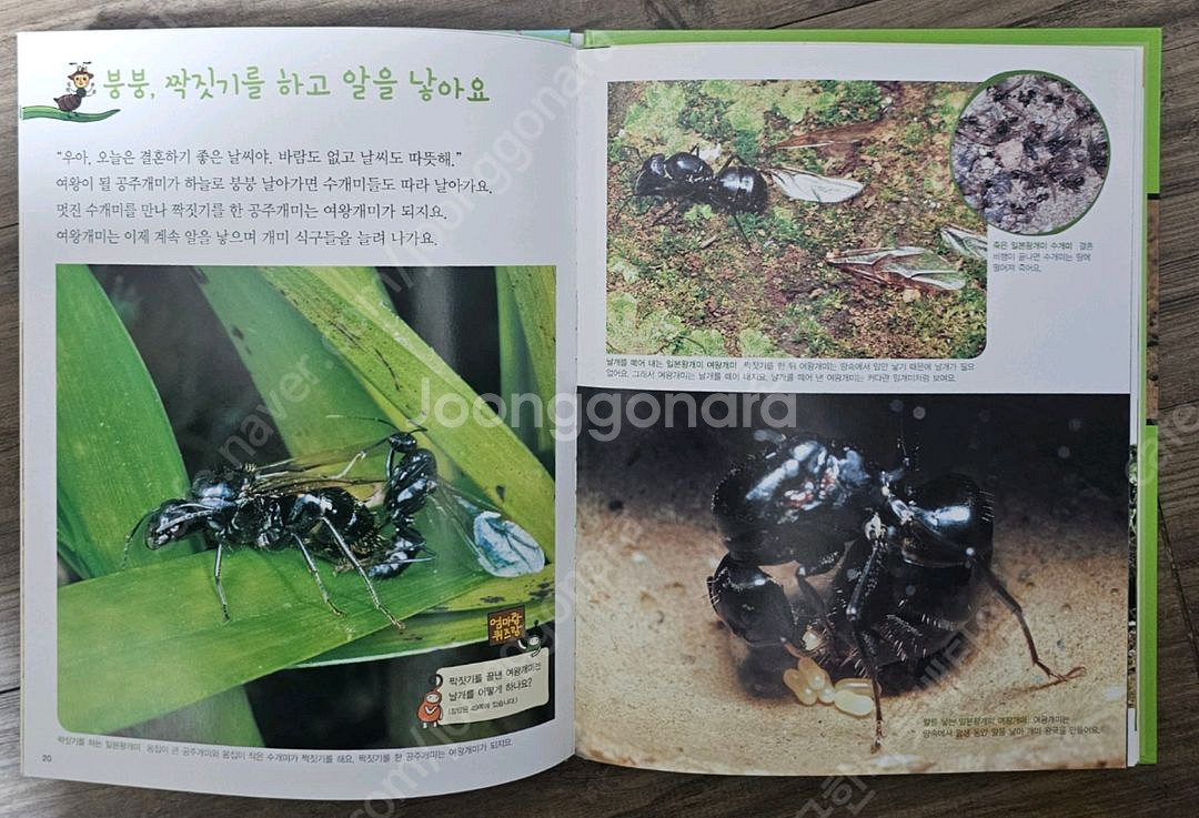 여원미디어 탄탄 자연속으로 A급 퀄리티 (100권)--3