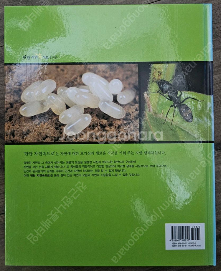 여원미디어 탄탄 자연속으로 A급 퀄리티 (100권)--2