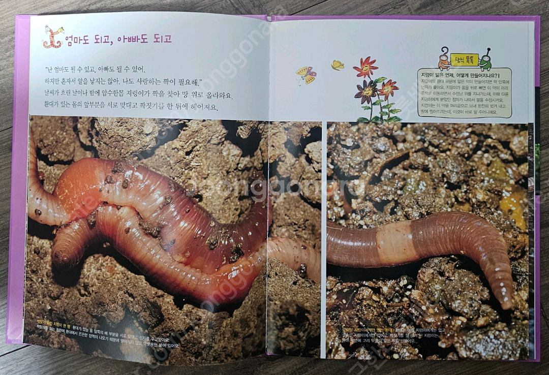 여원미디어 탄탄 자연속으로 A급 퀄리티 (100권)--6
