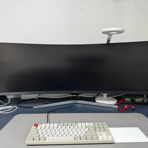 삼성 49인치 모니터 C49RG90