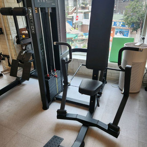 프로텍 체스트 프레스 팝니다