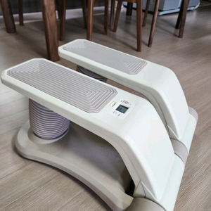 숀리 에어스텝퍼