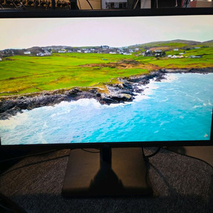 모니터<895>24인치 165hz 게이밍