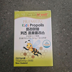 하이웰 키즈 프로폴리스