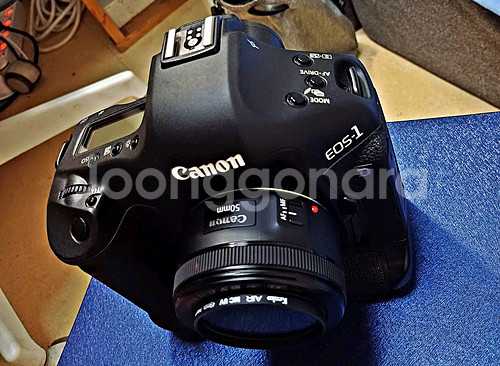 캐논 EOS-1D 마크3 카메라--0