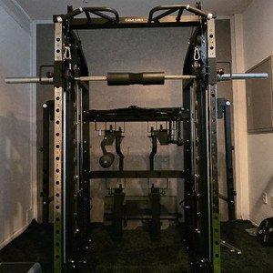 멀티 플렉스 머신 (기능성 근력 복합운동 기구)