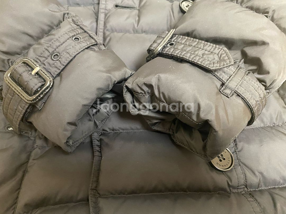 버버리달머튼(라쿤퍼)--5