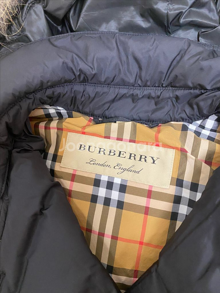 버버리달머튼(라쿤퍼)--4