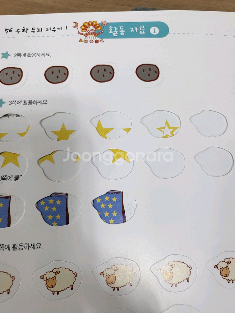 개념씨 수학나무 개정판--2