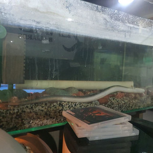 어항90*45*45강화유리