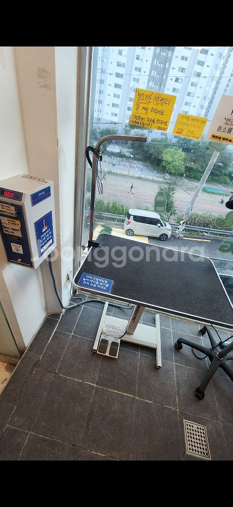 애견 드라이기 전동테이블 특대형드라이룸--1