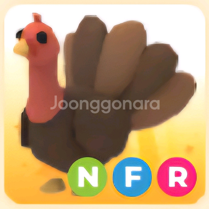 입양하세요 NFR 칠면조 (네칠면조)--0