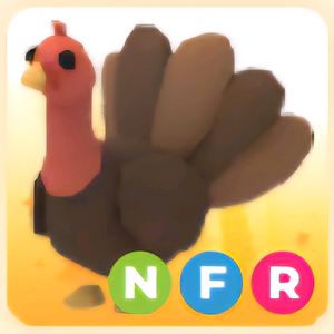 입양하세요 NFR 칠면조 (네칠면조)
