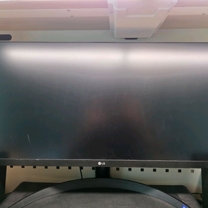 LG 와이드모니터 29WP500