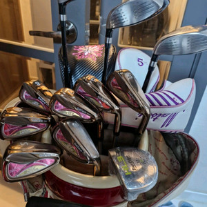 여성 다이와세트 외4종사진10장