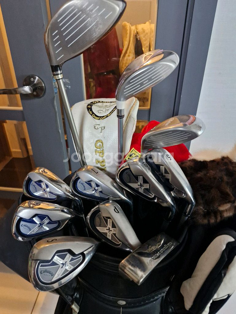 여성 다이와세트 외4종사진10장--2