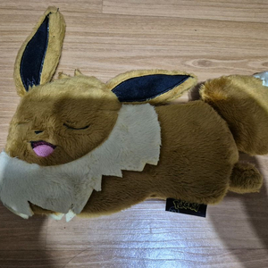 [포켓몬스터] 이브이 파우치
