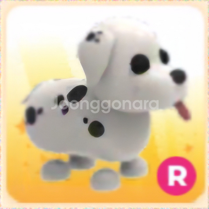 입양하세요 R 산강 (달마시안)--0