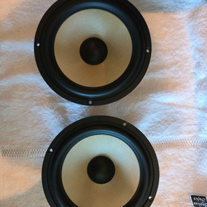 phass 파스 165gm