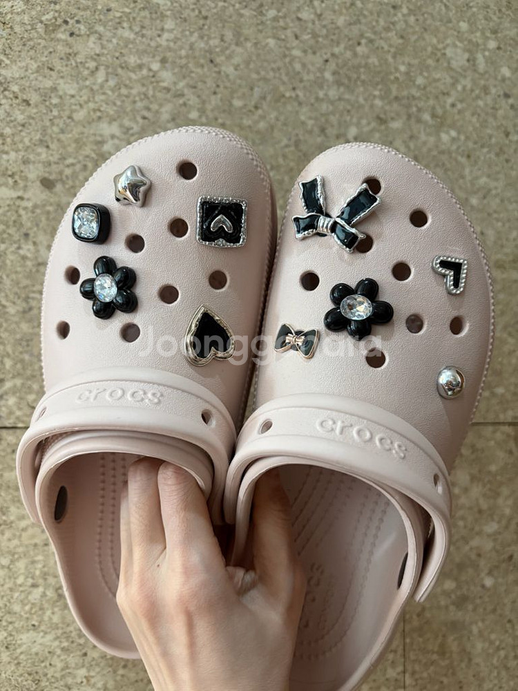 블랙 실버포인트 지비츠 팝니다--0