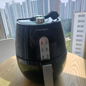 톰슨 더 팬시 에어프라이어