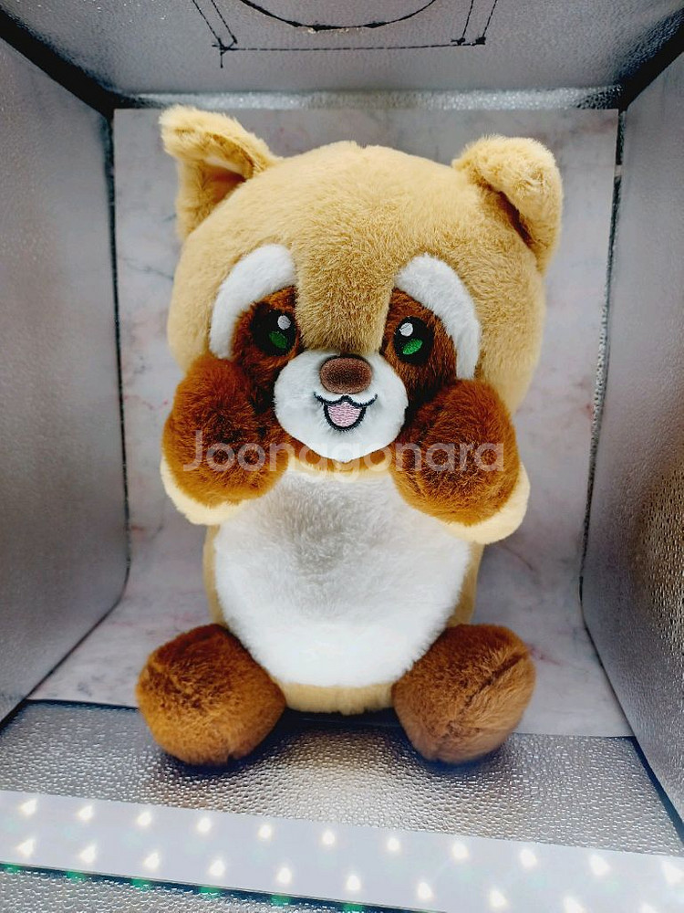 까꿍너구리 중대형인형--0