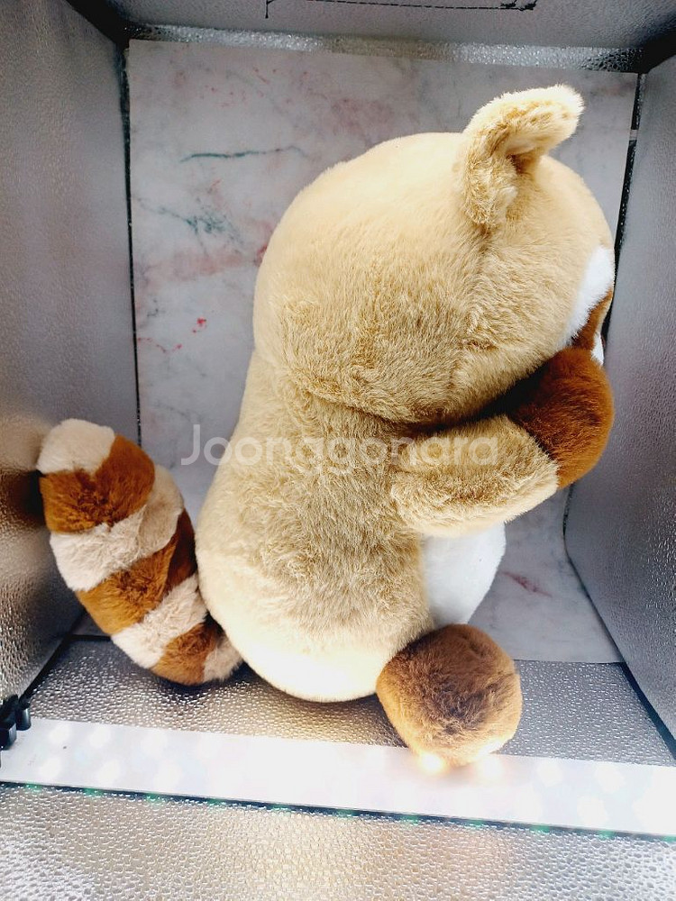 까꿍너구리 중대형인형--1