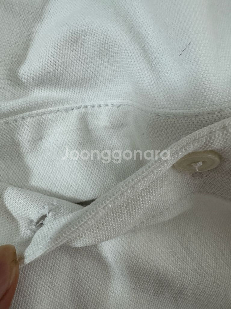 라코스테 화이트 PK 화이트 반팔 카라 티셔츠--4