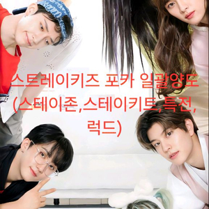 스트레이키즈 포카 일괄양도