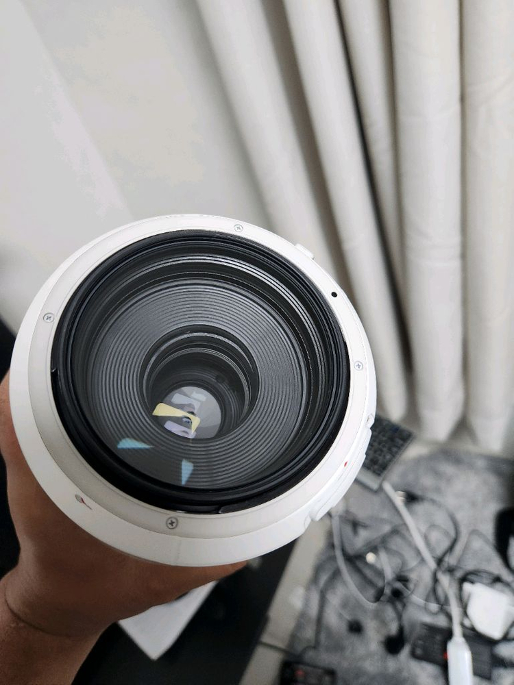 캐논 RF 100-500 F4.5-7.1 L isusm--1