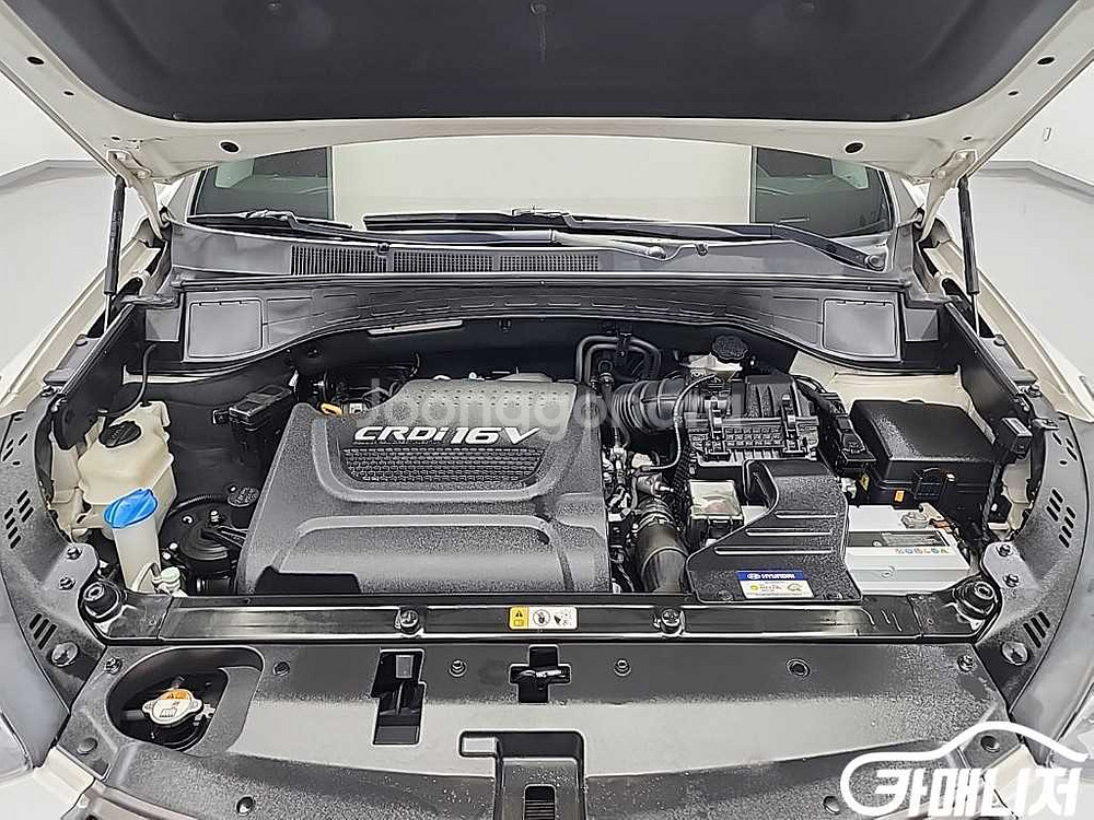 [현대]더뉴맥스크루즈 E-VGT R2.2 4WD 파이니--4
