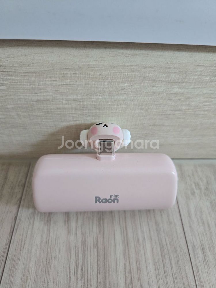 라온 휴대용 보조배터리--0