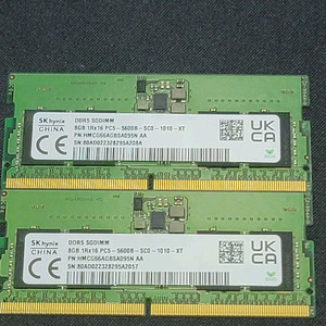 하이닉스 SODIUM DDR5 8GB (최대 2개)