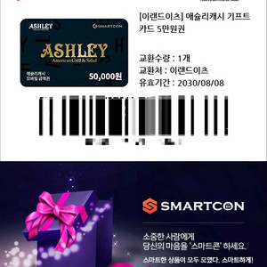 애슐리 캐시 5만원권 판매