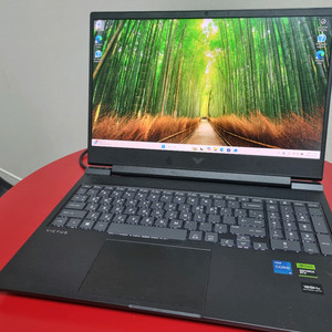HP 빅터스 16 게이밍 노트북 팔아요(rtx4060)