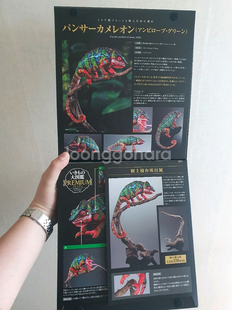 반다이 생물대도감 카멜레온 그린 미개봉 팝니다--1