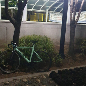 가격포기 카본 섞인 중급 구성 픽시 리더 판매(네고O)