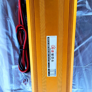 팅클발전소 파워인버터 TI-8000-24