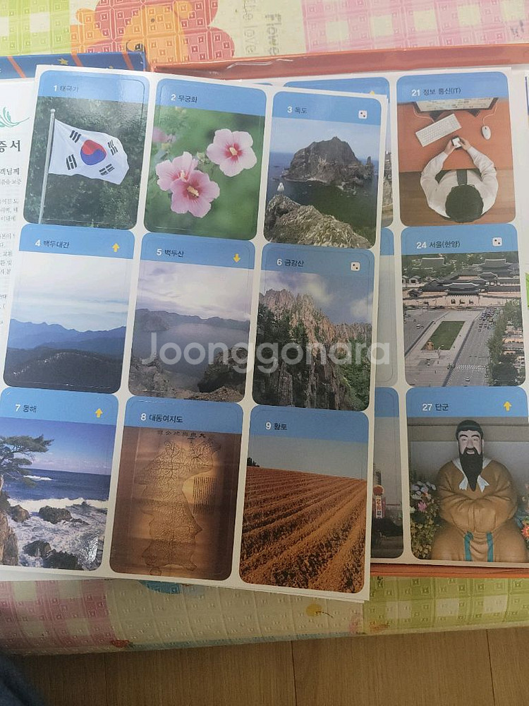 똑똑한 사회씨--2