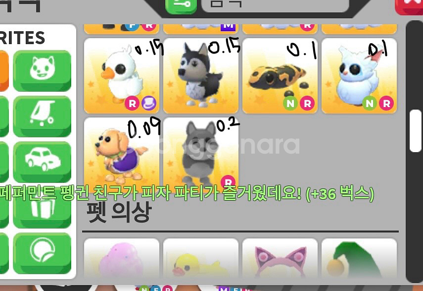 입양하세요 펫 싸게 팔아요~--3