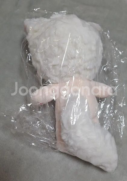 무속성 솜인형 솜깅 20cm 루이즐 뼈깅--1